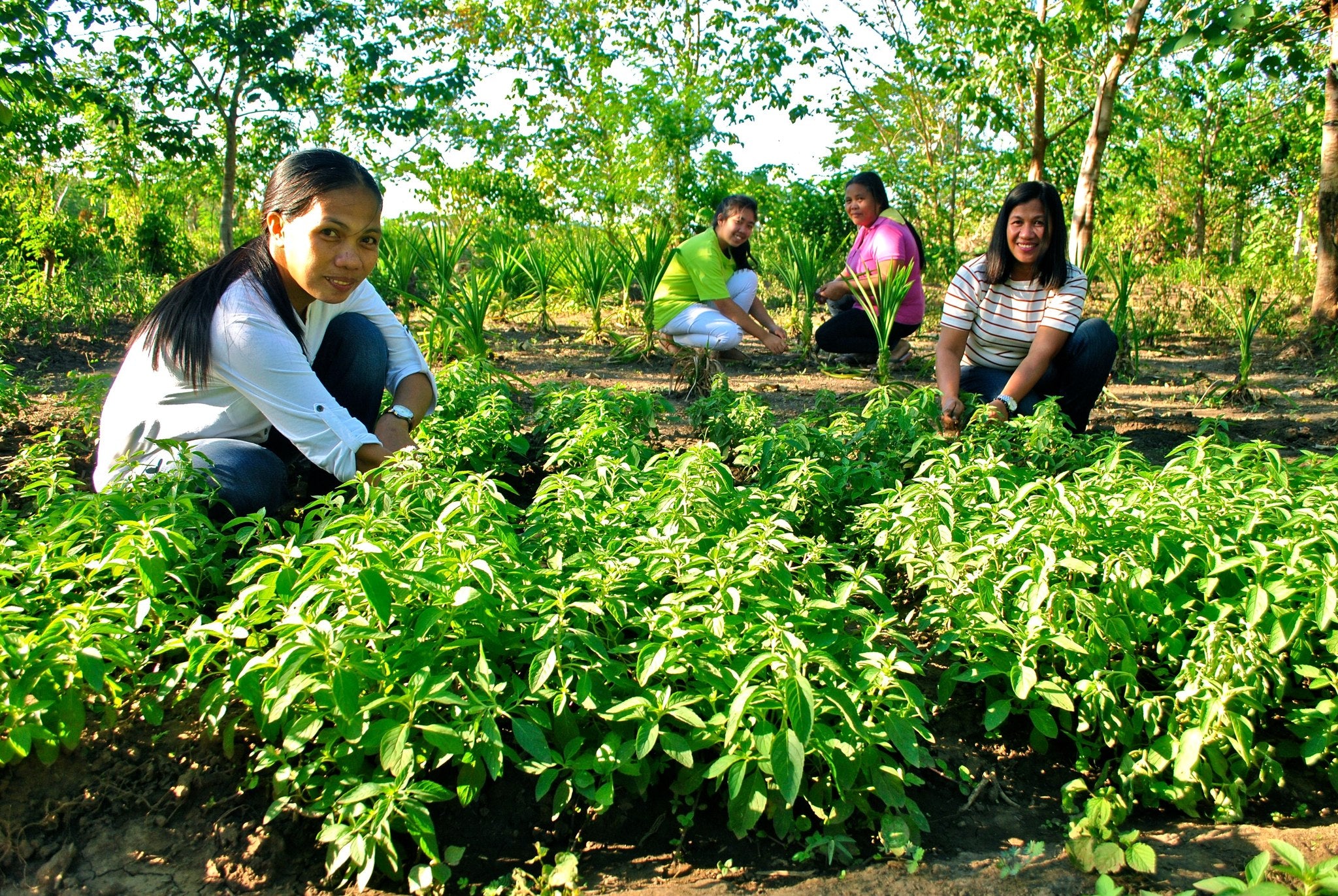 Social Enterprises