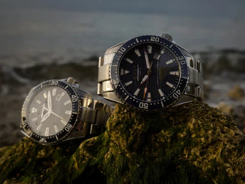 Raja Watch Co.