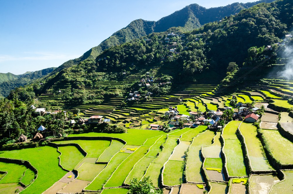 Buwan ng Wika