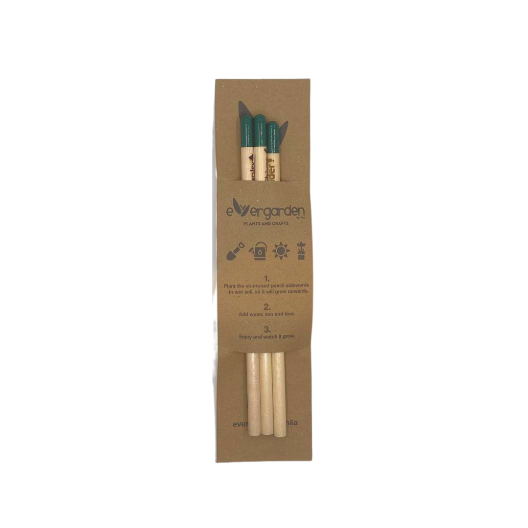 Evergarden Manila Plantable Pencils