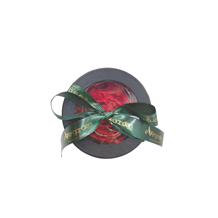 Evergarden Manila Fossilized Rose with Lights