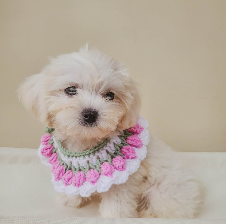 Isla Marikit Adjustable Tulip Crochet Pet Necklace