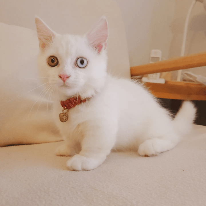 Isla Marikit Adjustable Macrame Knot