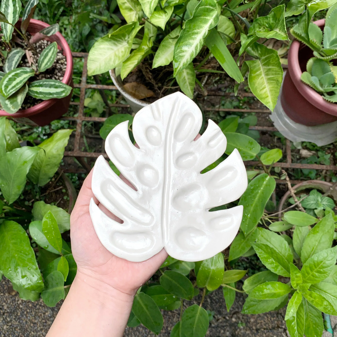Life After Breakfast PH Ceramic Paint Palette