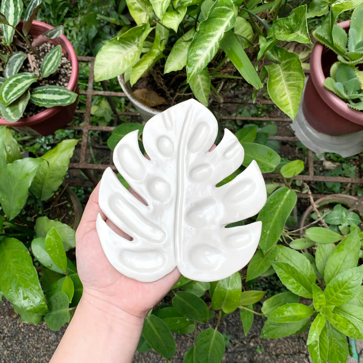 Life After Breakfast PH Ceramic Paint Palette