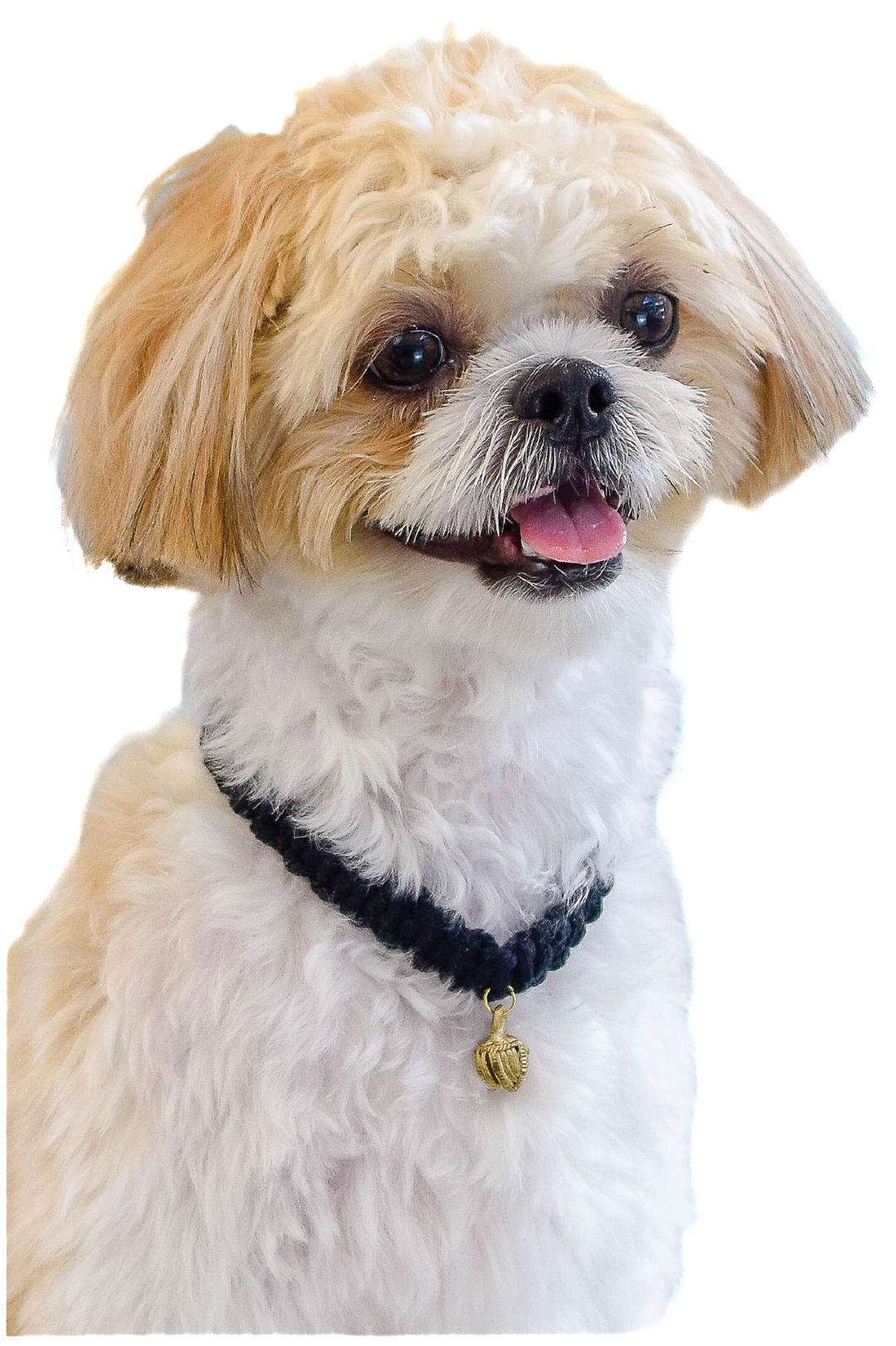 Isla Marikit Adjustable Macrame Knot