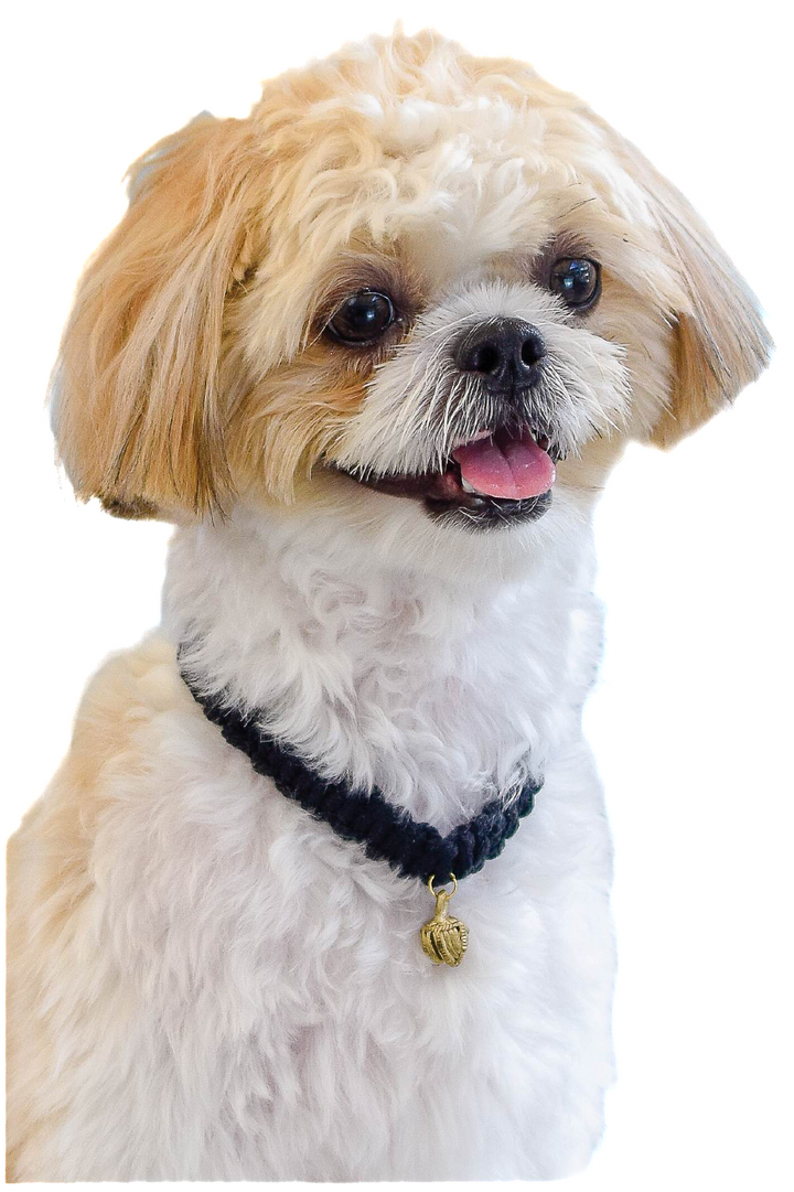 Isla Marikit Adjustable Macrame Knot