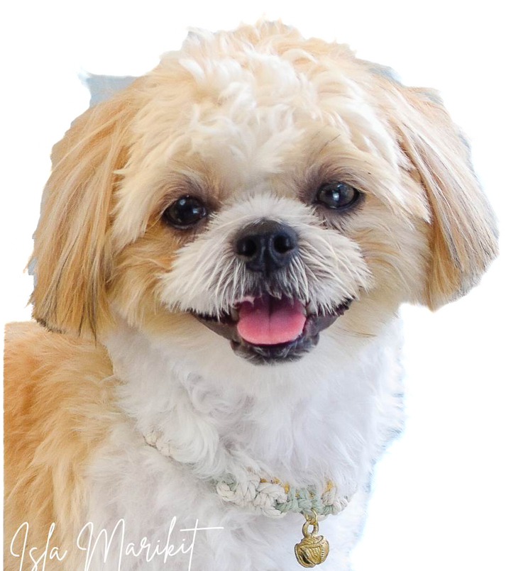 Isla Marikit Adjustable Macrame Knot