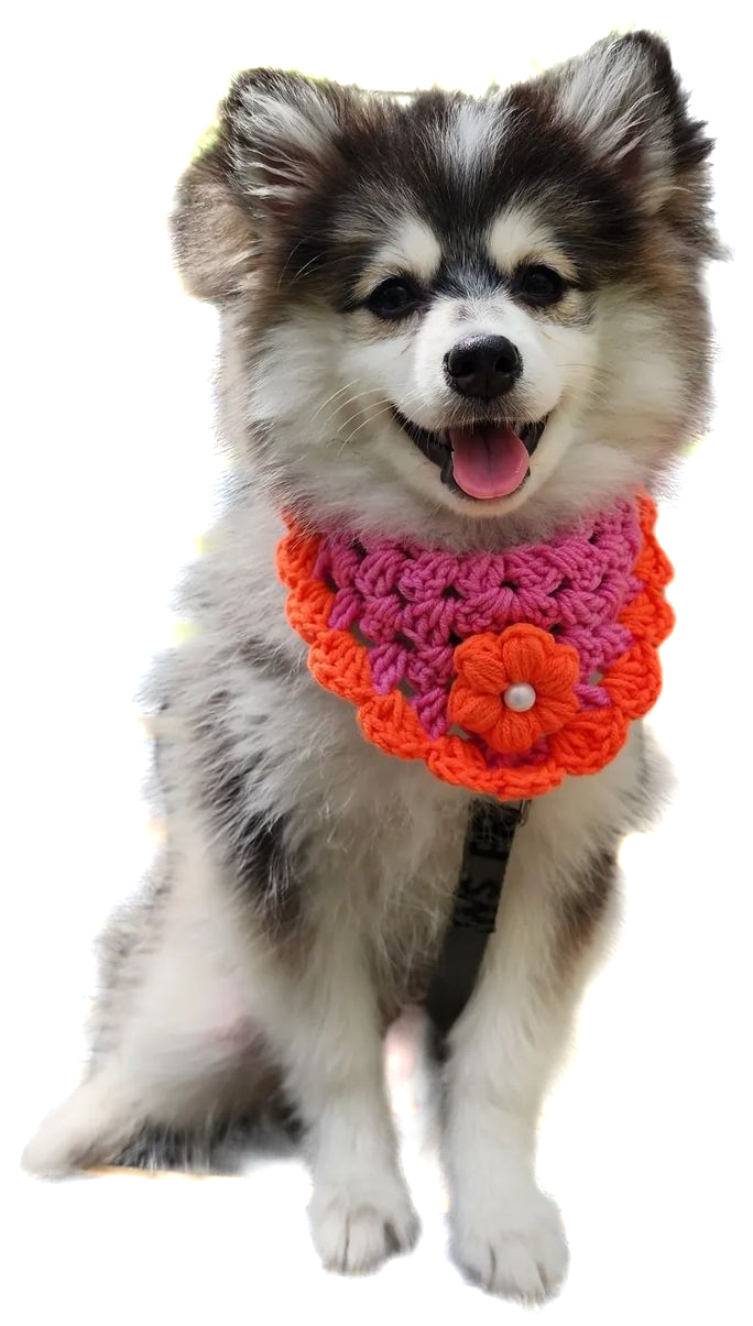 Isla Marikit Adjustable Pet Bandana Crochet