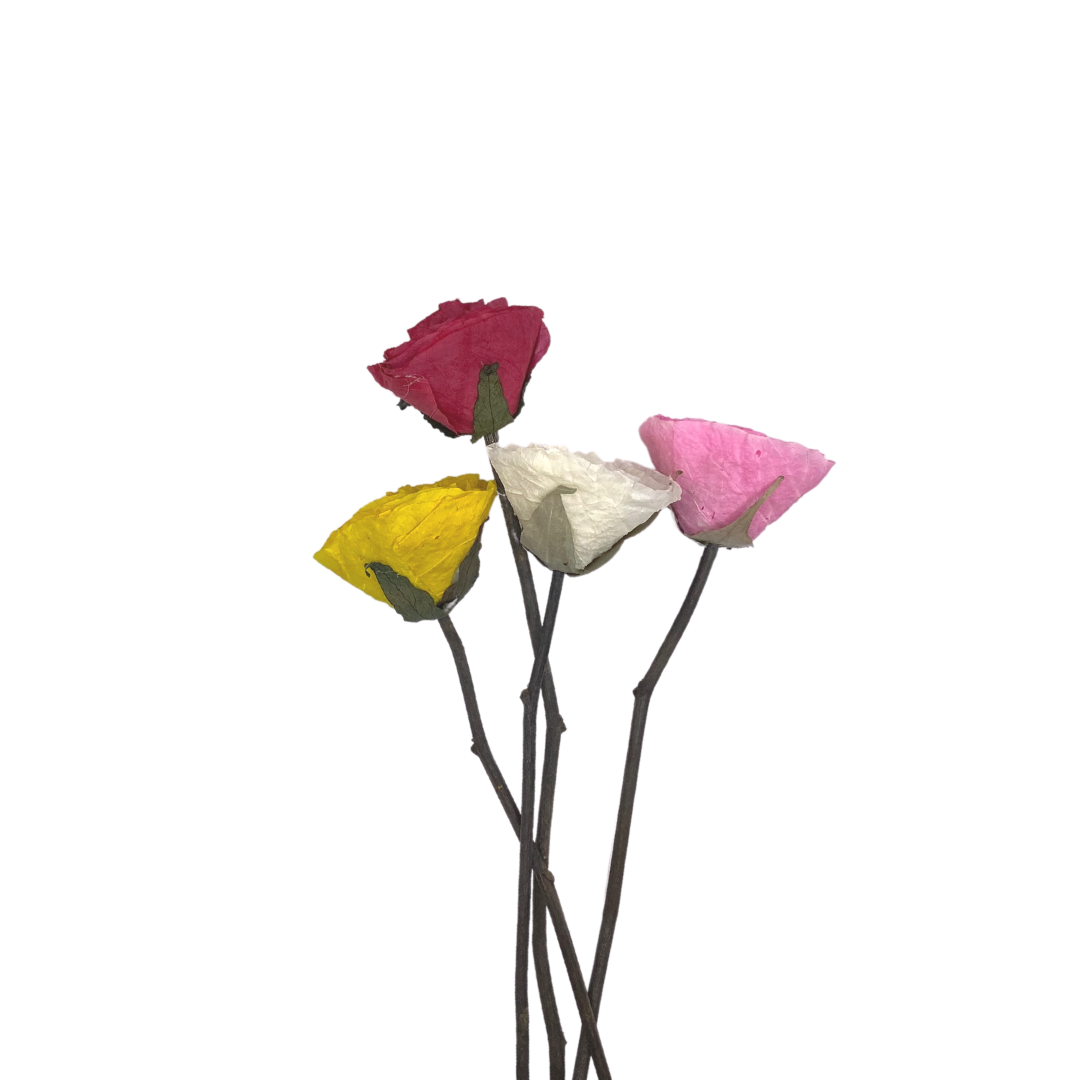 Evergarden Manila Fossilized Rose