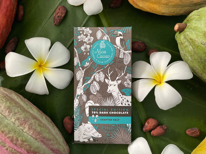 Nico Cacao Special Edition Dark Chocolate with Crafted Salt (Asin Tibuok)