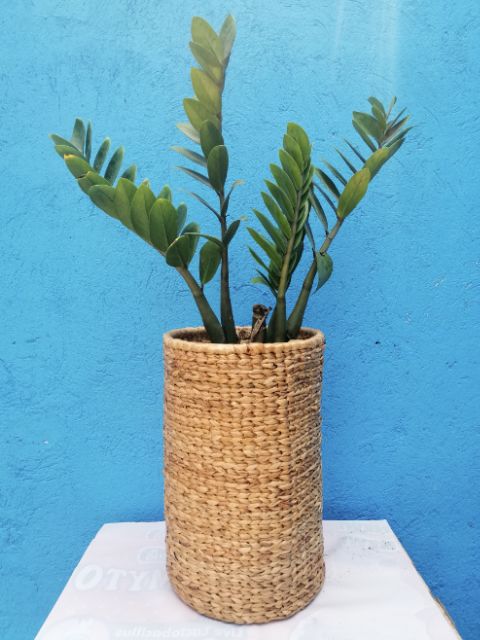 Remdavies Water Hyacinth Umbrella Stand