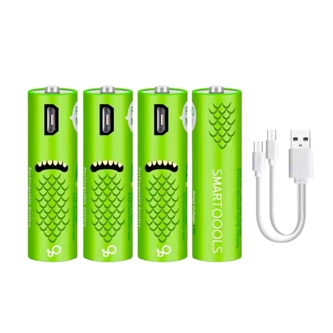 Berde SMARTOOOLS Rechargeable AA Batteries