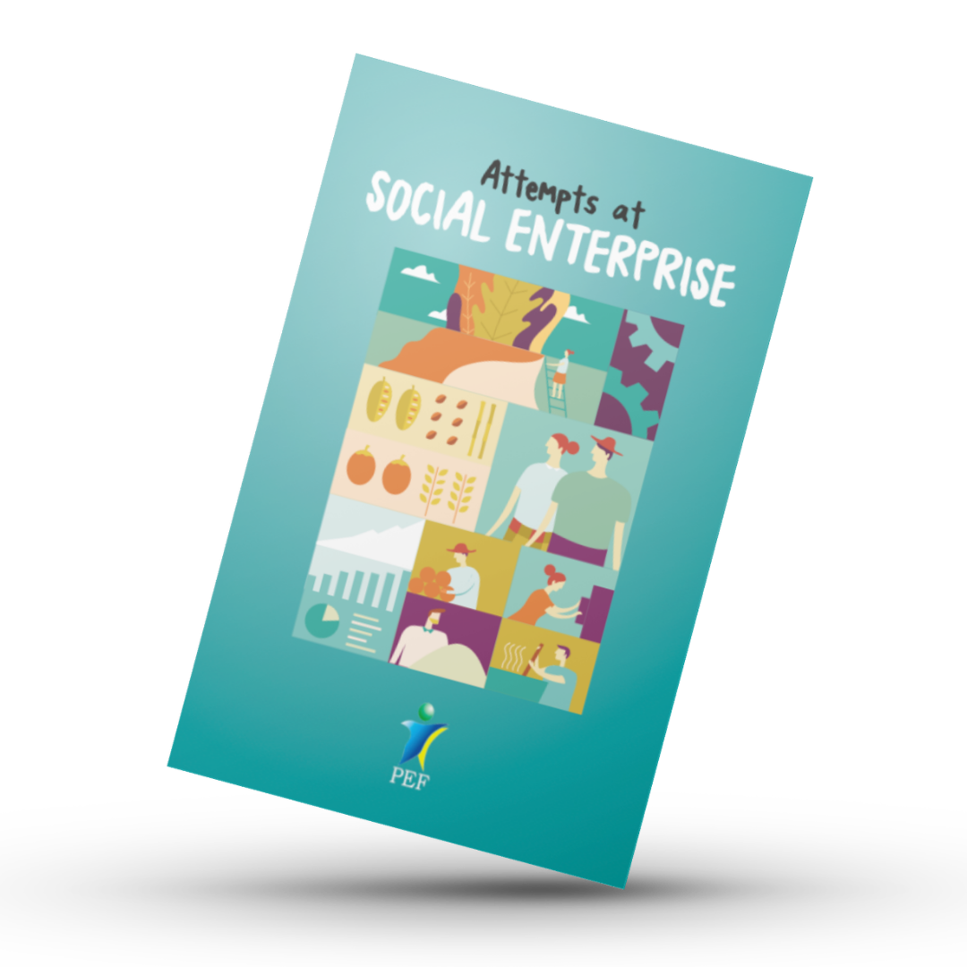 Attempts at Social Enterprise by Peace & Equity Foundation
