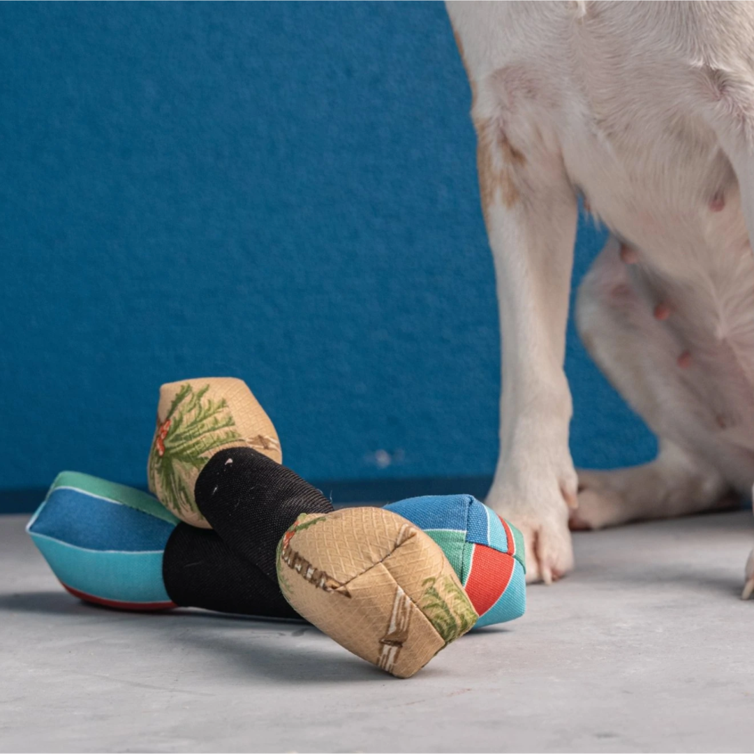 Bowhouse Bone Tug Toy