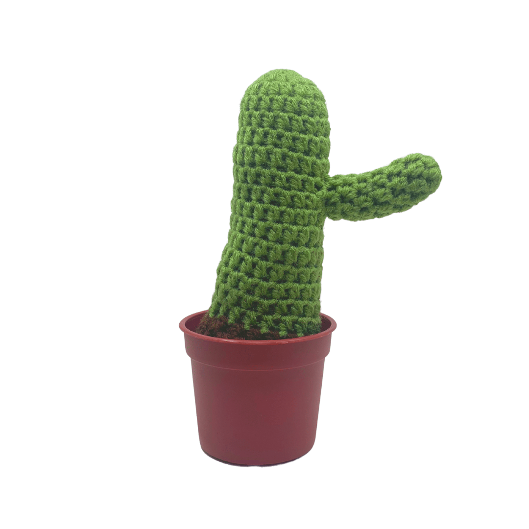 400 Lux Hand Crocheted Cactus in Pot