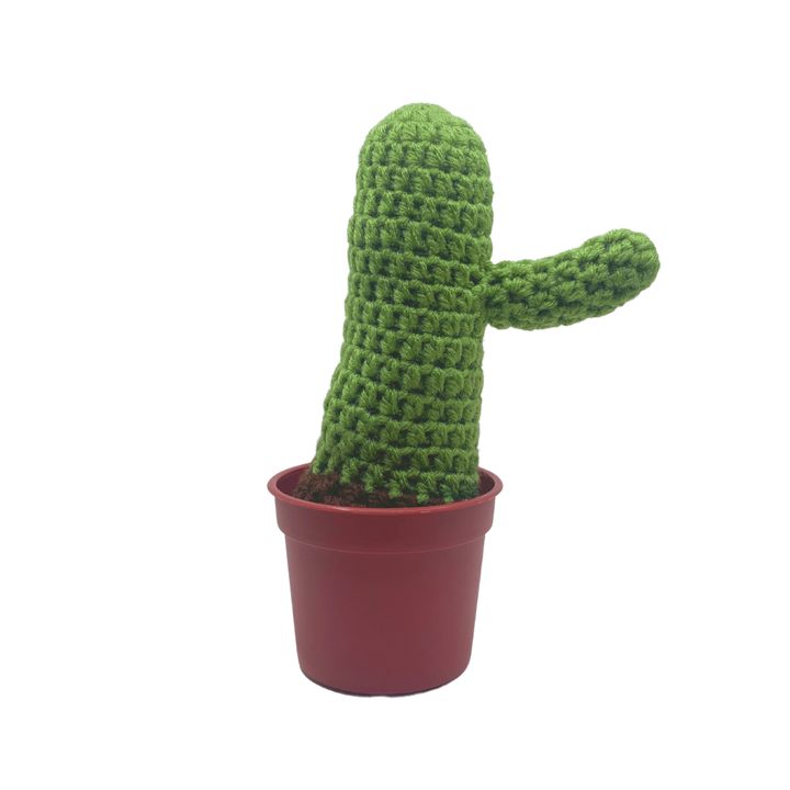 400 Lux Hand Crocheted Cactus in Pot