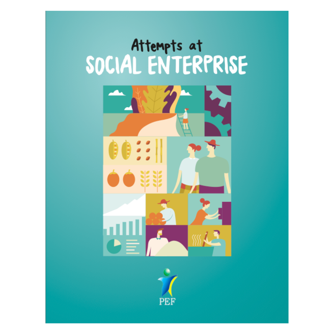 Attempts at Social Enterprise by Peace & Equity Foundation