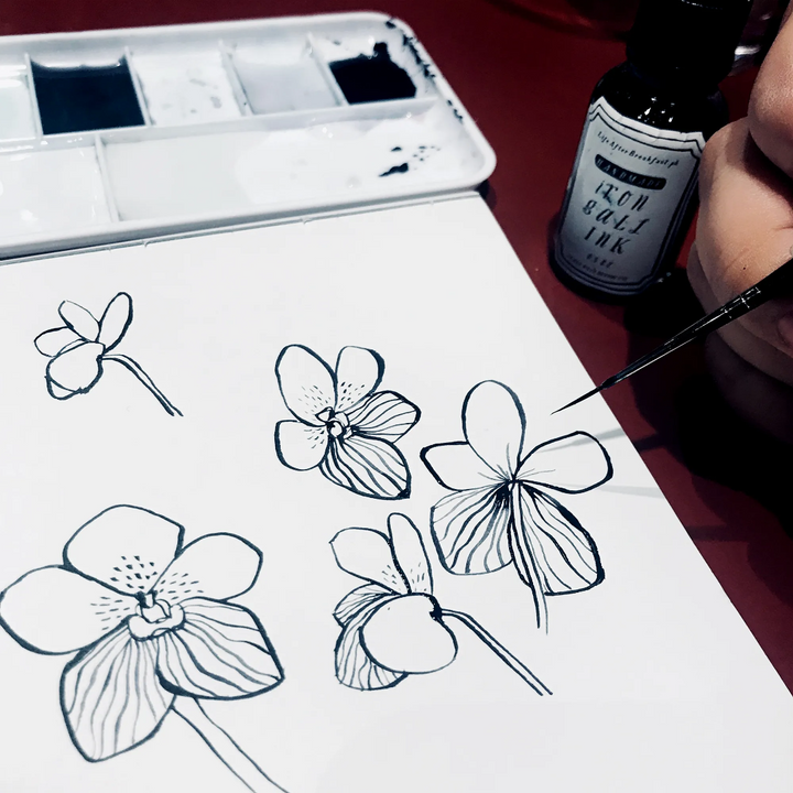 Life After Breakfast PH Iron Gall Ink