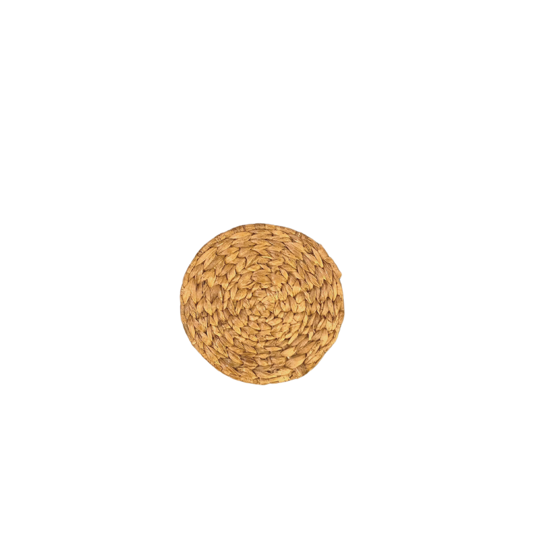 Remdavies Handwoven Water Hyacinth Round Coaster