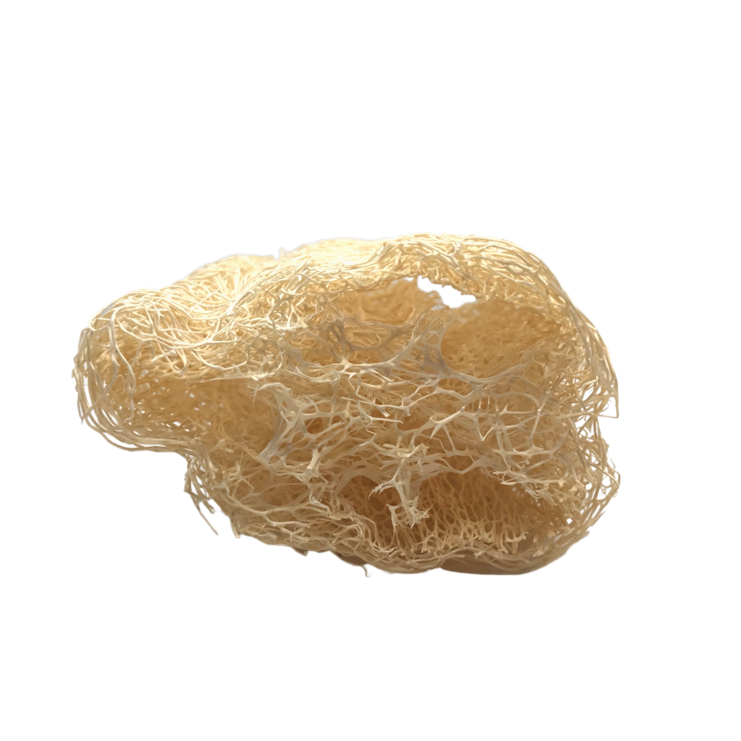 Mimi and Me Loofah Scrubbing Sponge