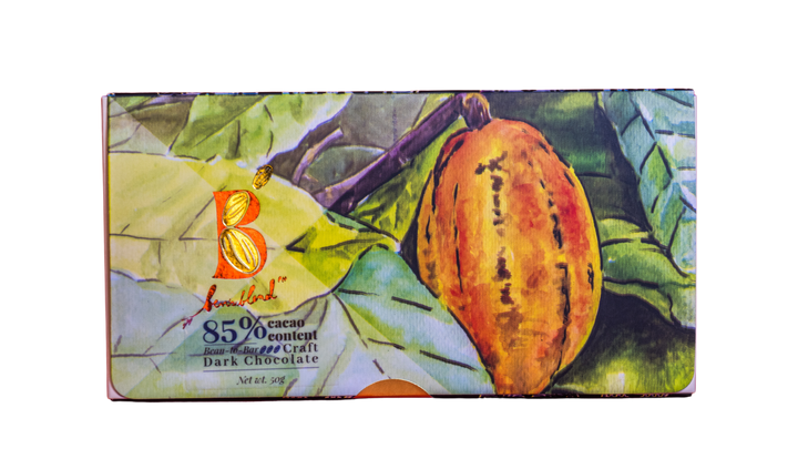 Ben's Blend PH Dark Chocolate Bar