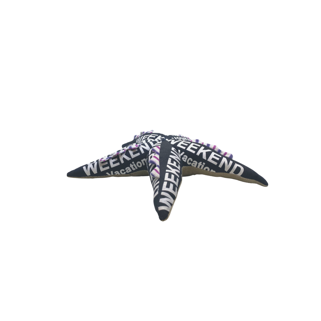 Tagpi-Tagpi Starfish Plushie