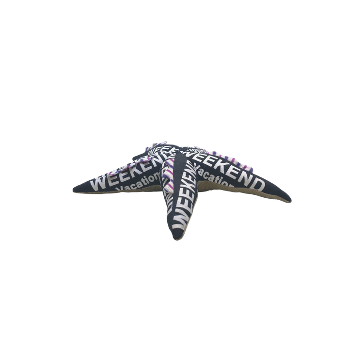 Tagpi-Tagpi Starfish Plushie