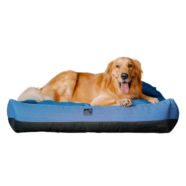 Bowhouse Snorebox Doggie Bed
