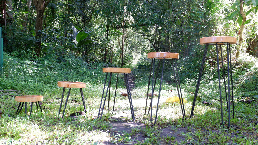 Farmniture Plant Stand