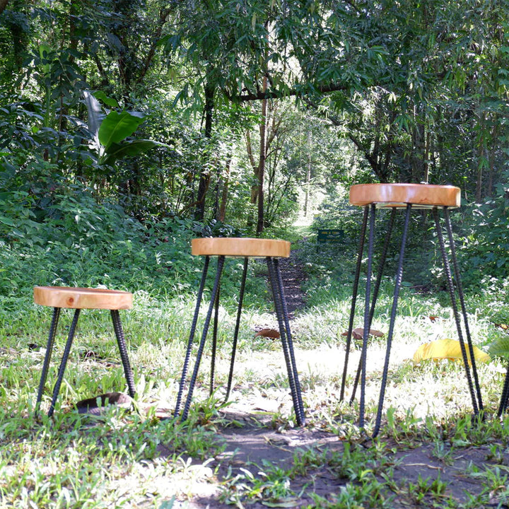 Farmniture Plant Stand