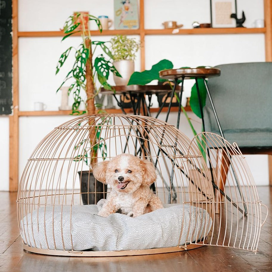 Bowhouse Dome Home Doggie Bed