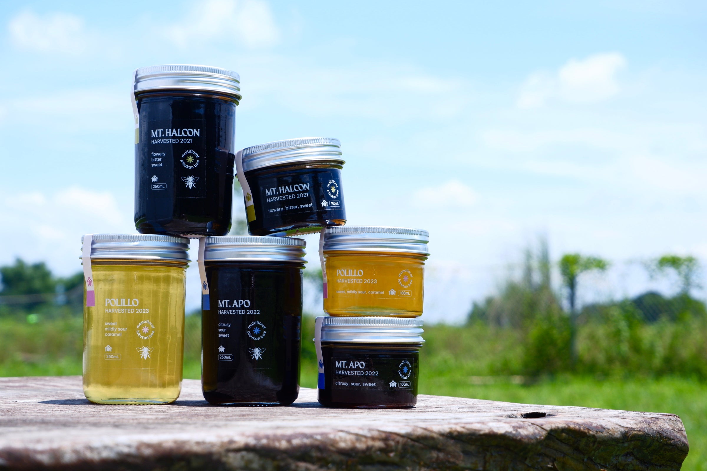 Kubo Honey