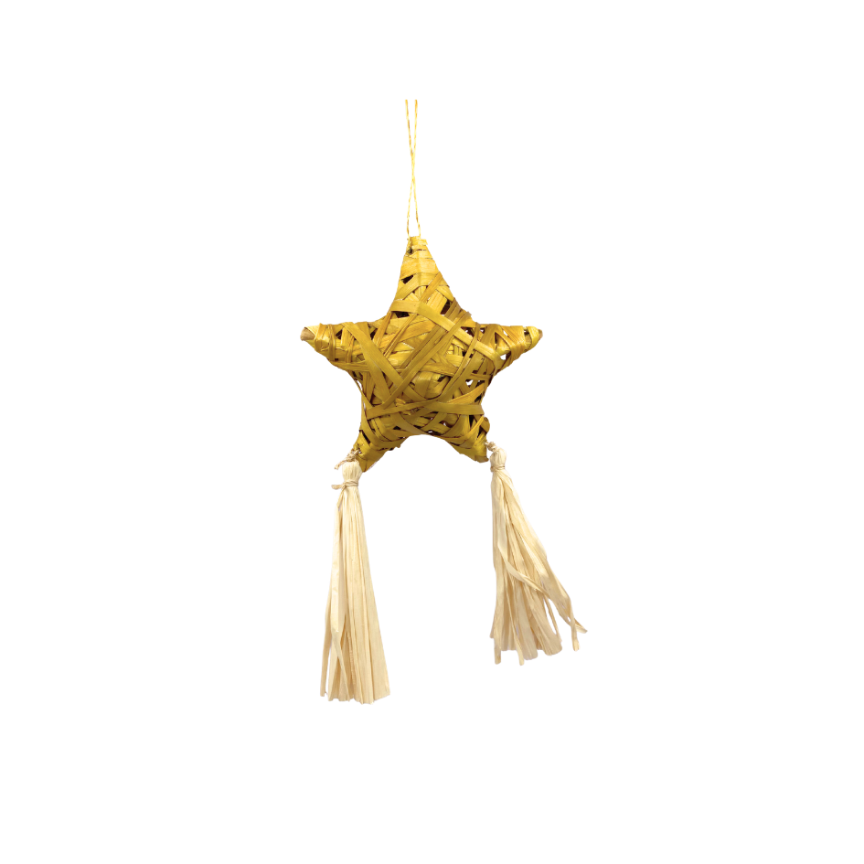 Roots Albay Collection Abaca Lupis Star Ornament with Tassel