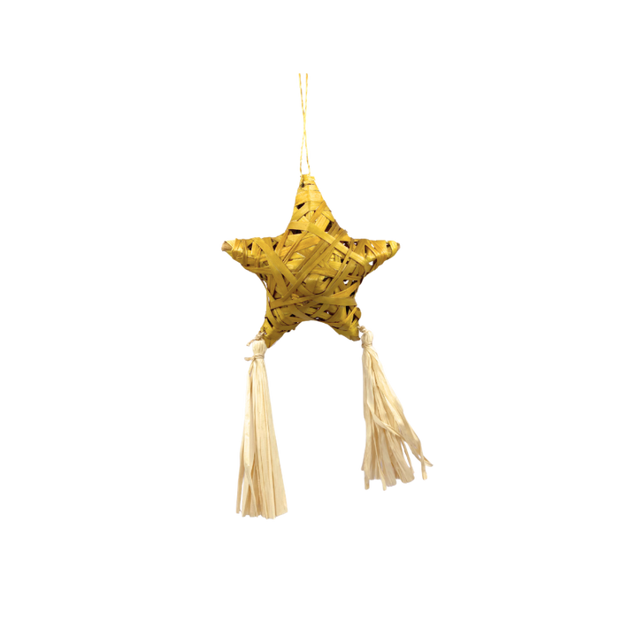Roots Albay Collection Abaca Lupis Star Ornament with Tassel