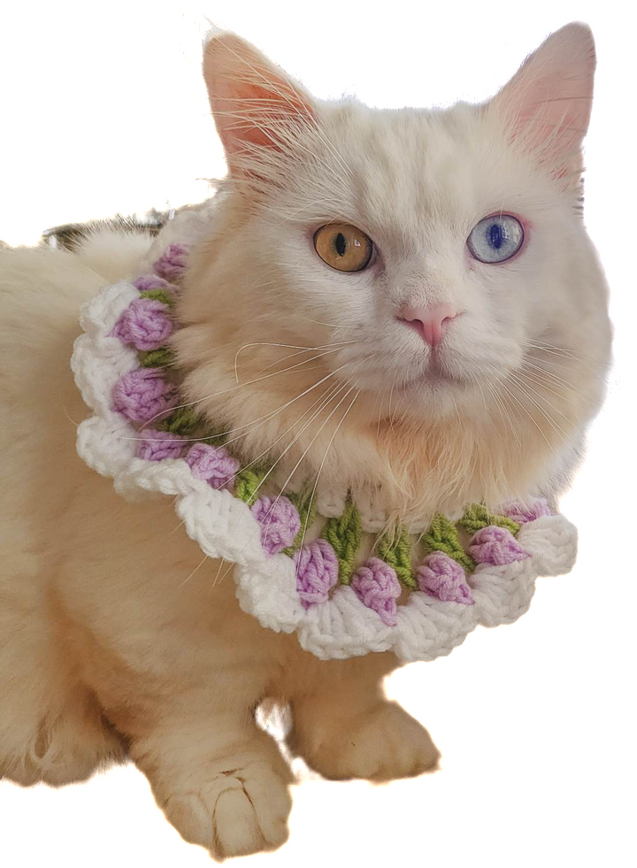 Isla Marikit Adjustable Tulip Crochet Pet Necklace