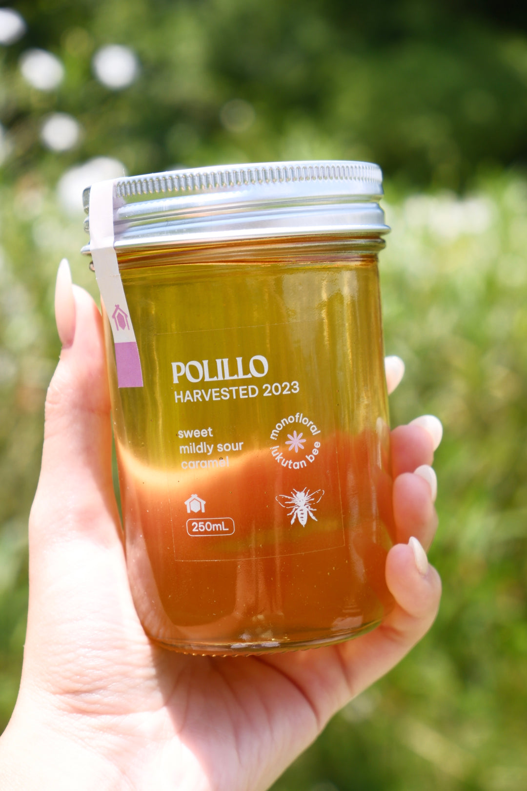 Kubo Polilio Wild Honey