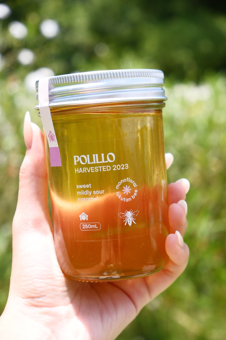 Kubo Polilio Wild Honey