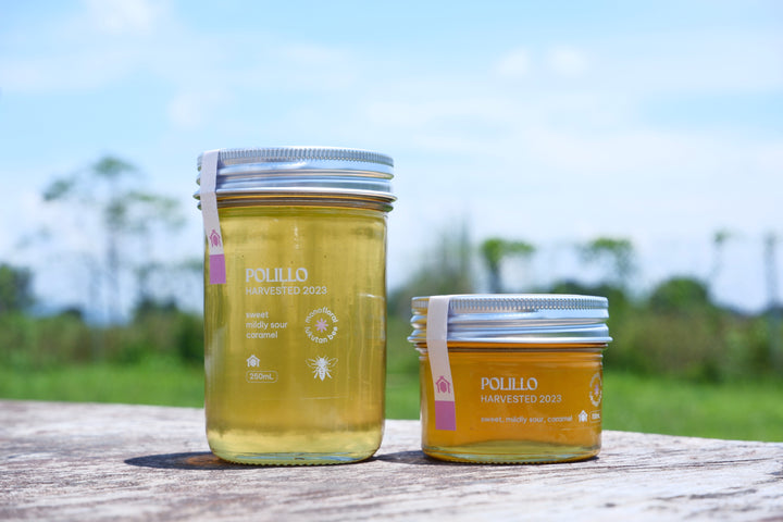 Kubo Polilio Wild Honey