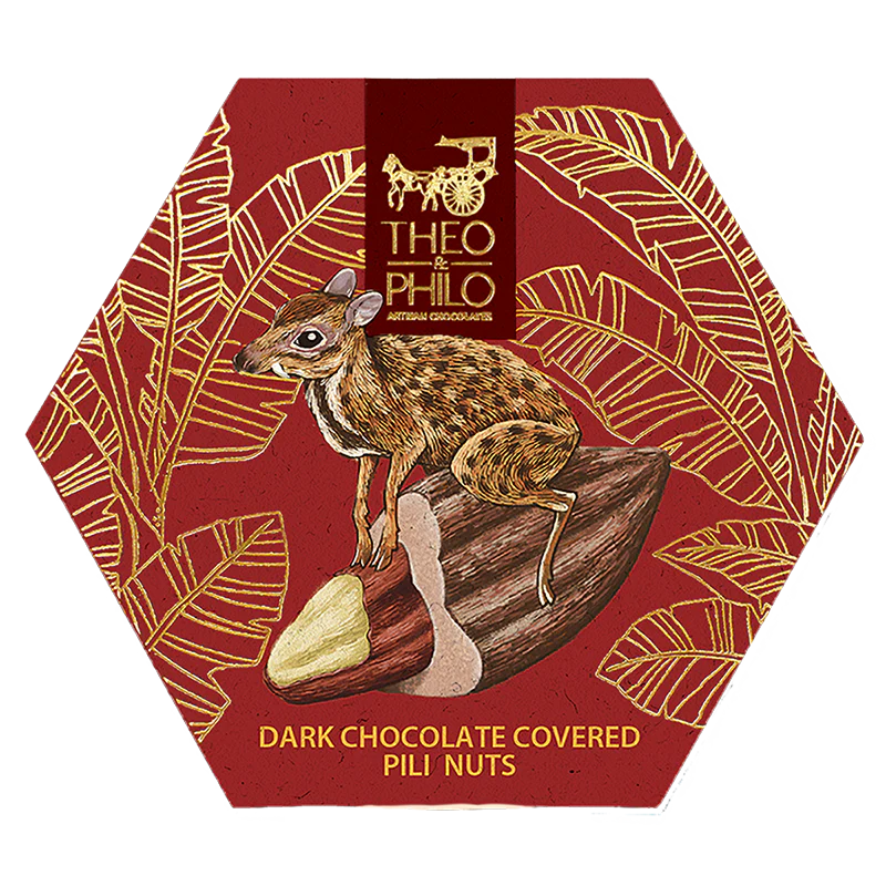 Theo & Philo Chocolates Vegan Dark Chocolate Covered Pili Nuts