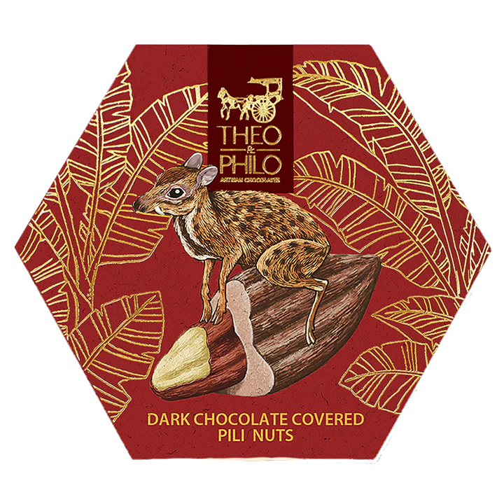 Theo & Philo Chocolates Vegan Dark Chocolate Covered Pili Nuts