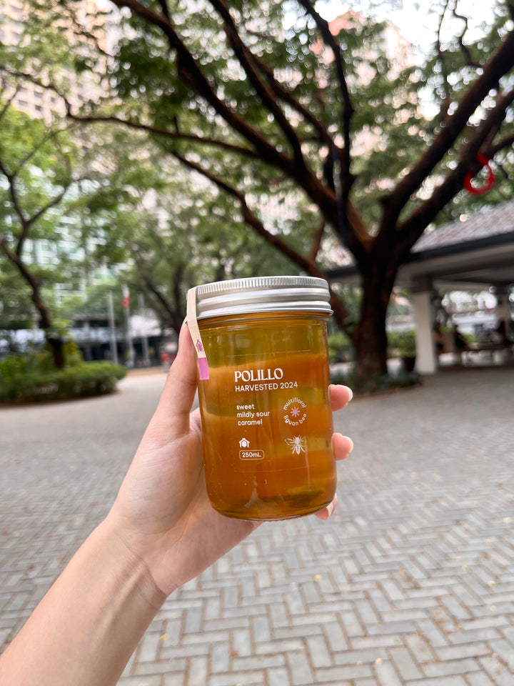 Kubo Polilio Wild Honey