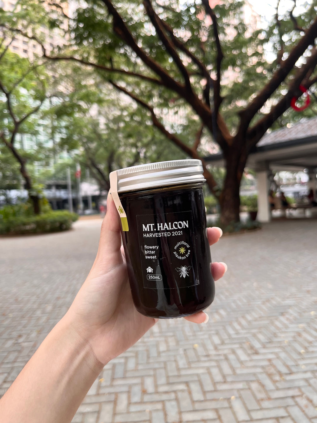 Kubo Mt. Halcon Wild Honey