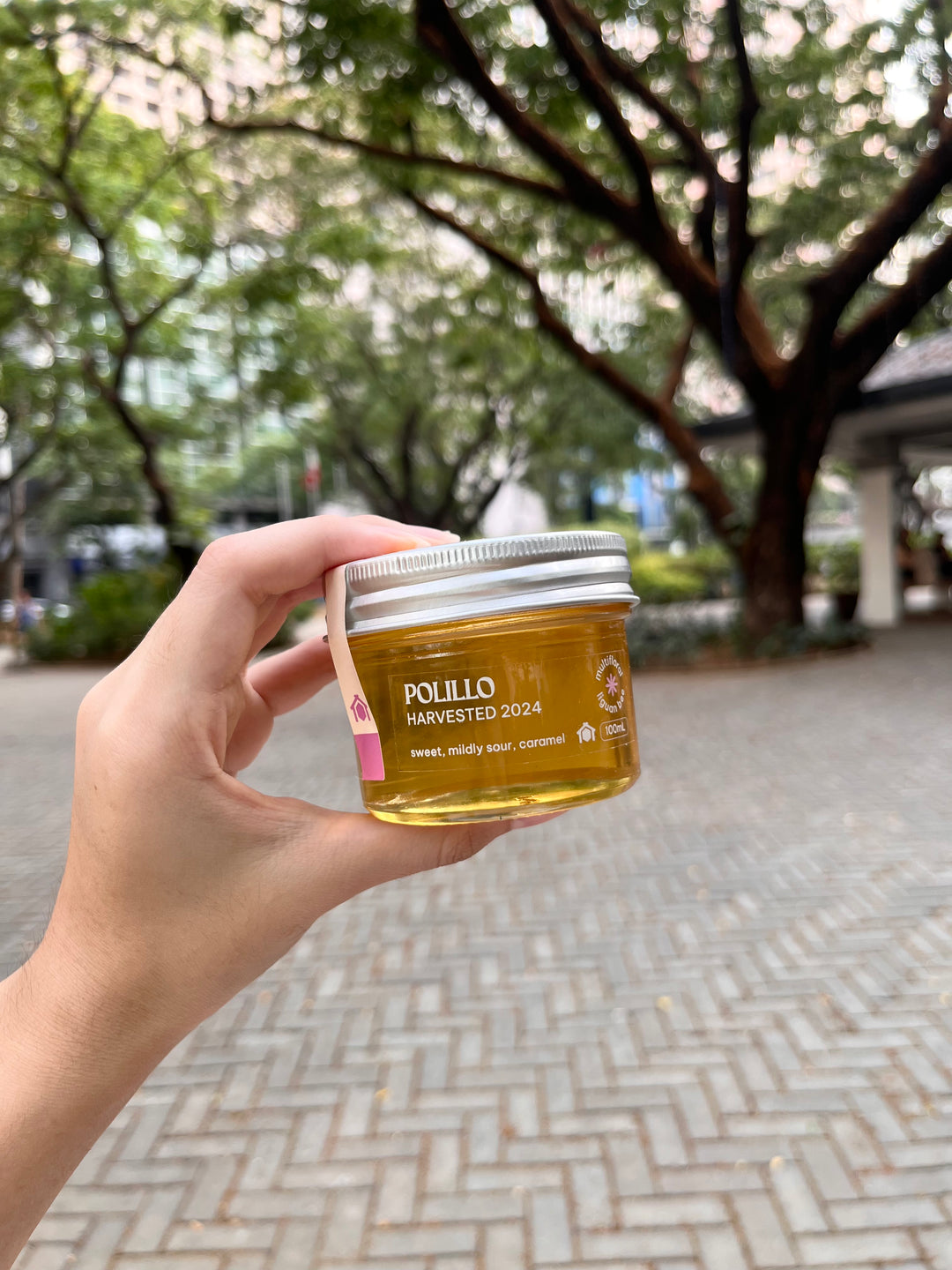 Kubo Polilio Wild Honey
