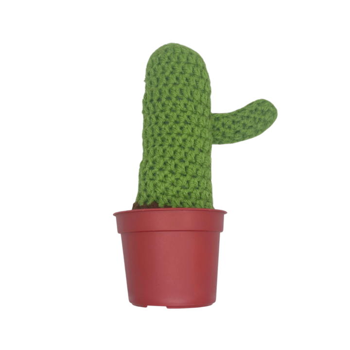 400 Lux Hand Crocheted Cactus in Pot
