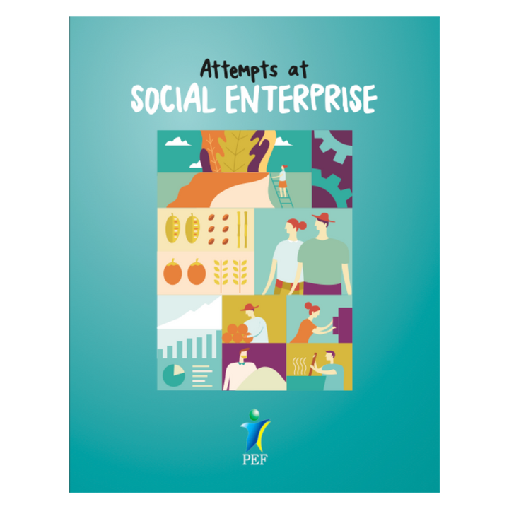 Attempts at Social Enterprise by Peace & Equity Foundation